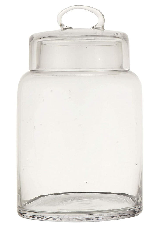 Clear Lid Glass Container-Medium